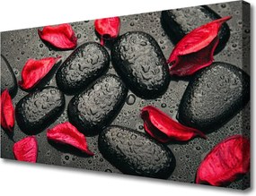 Duży obraz na płótnie Płatki Kwiatów na Kamieniach