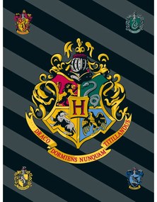 Polarowy koc dziecięcy 100x150 cm Harry Potter – Jerry Fabrics
