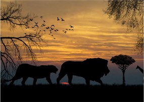 Obraz na szkle - Safari (70x50 cm)