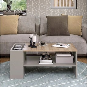 Stolik kawowy szary 100x55x42 wido