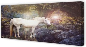 Obraz drukowany na płótnie Jednorożec w Leśnej Scenerii