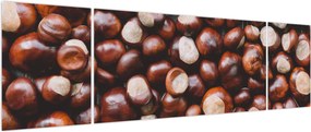Obraz - Dojrzałe kasztany (170x50 cm)