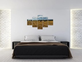 Obraz zebranego pola zboża (125x70 cm)