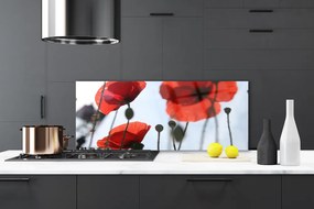 Panel Kuchenny Polne Maki W Rozkwicie