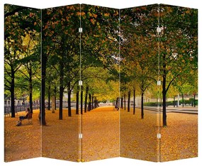 Parawan - Aleja jesiennych drzew (210x170 cm)