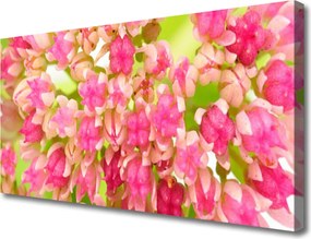 Fotoobraz na płótnie Subtelny Kwiat Lotosu