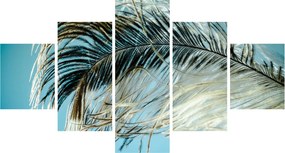 Obraz pióra (125x70 cm)