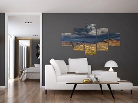 Obraz - kaktusy w przyrodzie (125x70 cm)