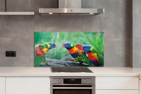 Panel Kuchenny Szklany Egzotyczne Papugi w Koronie Drzew