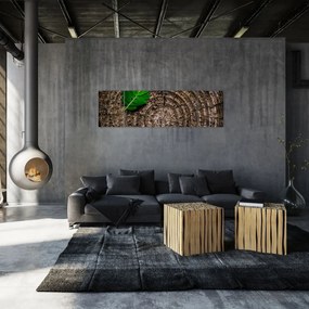 Obraz liścia na pniu drzewa (170x50 cm)