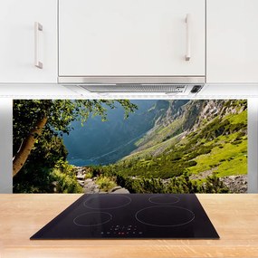 Panel Szklany Dzika Natura W Górach