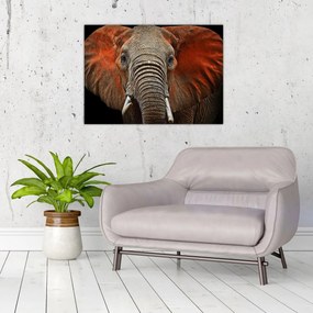 Obraz - Słonie z Tsavo (70x50 cm)