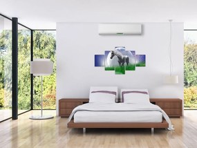 Obraz jednorożca (125x70 cm)