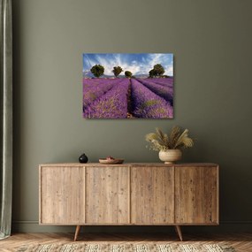 Obraz na szkle - Pole lawendy i góry (70x50 cm)