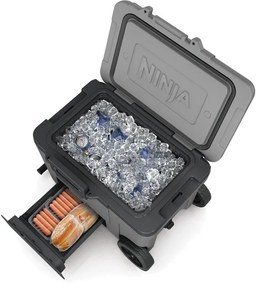 Ninja FB245EUGY lodówka turystyczna Frost VaultWheeled, 42 l
