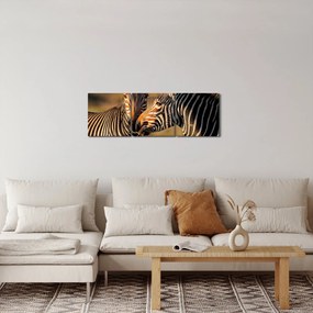 Obraz - Dwie zebry (z zegarem) (90x30 cm)