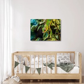Obraz na szkle kameleona (70x50 cm)