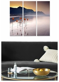 Obrazy zestaw 3 szt. 20x50 cm – Wallity