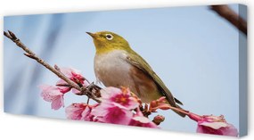 Obraz na płótnie Samotny Ptak na Gałęzi