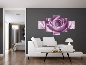 Obraz szczegółu kwiatu róży (125x70 cm)