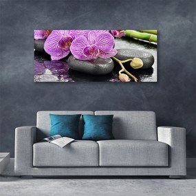 Obraz Canvas Storczyk Zen Orchidea Spa