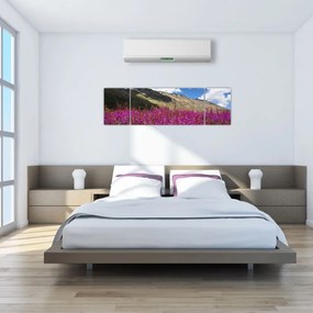 Obraz scenerii łąki górskiej (170x50 cm)