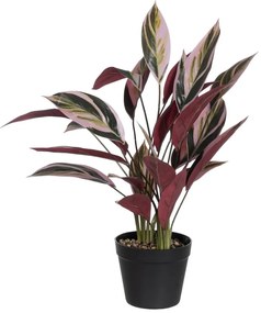 Sztuczna roślina (wysokość 55 cm) Bird of Paradise – Ixia