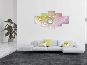 Obraz - Krople rosy (125x70 cm)