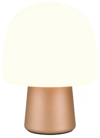 Biało-brązowa lampa stołowa ze szklanym kloszem (wysokość 27 cm) Steen – Trio