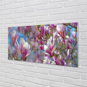 Szklany Panel Drzewa Magnolii w Rozkwicie