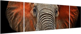 Obraz - Słonie z Tsavo (170x50 cm)