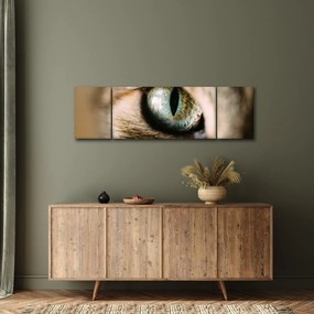 Obraz - Kocie oko (170x50 cm)