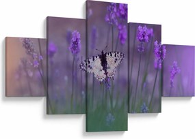 Obraz - Motyl w lawendach (125x70 cm)
