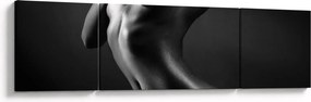 Obraz - Nagie kobiety (170x50 cm)