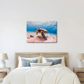 Obraz żółwia w oceanie (70x50 cm)