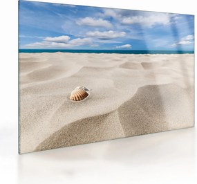 Obraz na szkle - Muszle na plaży (70x50 cm)