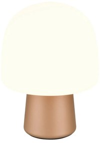 Biało-brązowa lampa stołowa ze szklanym kloszem (wysokość 27 cm) Steen – Trio