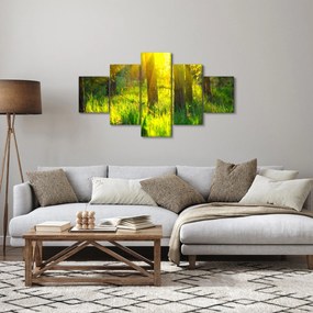 Obraz - Wiosenne przebudzenie lasu (125x70 cm)