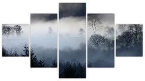 Obraz mgły nad lasem (125x70 cm)