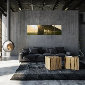 Obraz alei (170x50 cm)