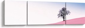 Obraz - Różowy sen (170x50 cm)