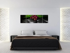Obraz - Kamienie lawy (170x50 cm)