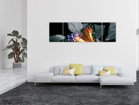 Obraz motyla (170x50 cm)