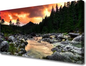 Obraz drukowany na płótnie Leśna Rzeka wpadająca do Jeziora