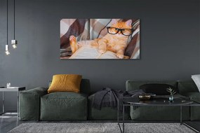 Zdjęcie na płótnie Kot "Czytający" Książkę