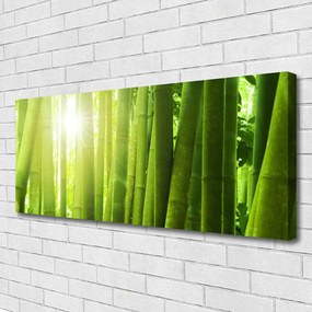 Obraz na płótnie Świeżość Zielonego Bambusa