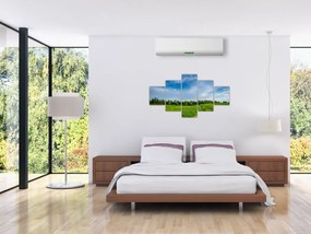 Obraz łąki (125x70 cm)