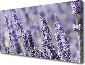 Obraz canvas Natura w Pełnym Rozkwicie