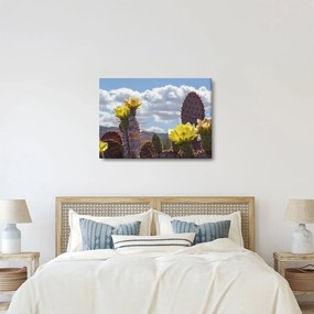 Obraz opuncji (70x50 cm)