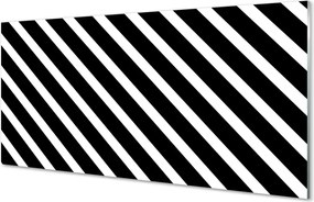 Panel Szklany Klasyczny Wzór Zebry